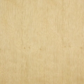 kolekcja I - limba 312