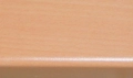 Buk